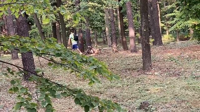 РИВИ БЕРЕМЕНА ОТ КЛОУНА А4 смотреть онлайн