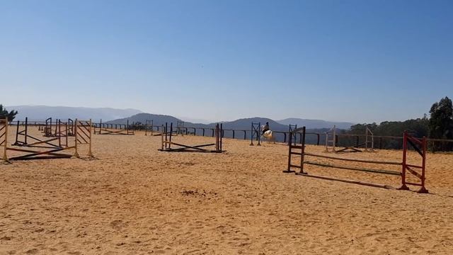 ||TREINO DE HIPISMO COM A REBEKA REBAIXADA|| tomando refugos;-; смотреть онлайн