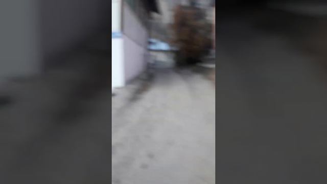 город хорог смотреть онлайн