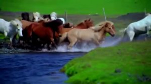 Стив Морган.  B M G    Time Of Love 2