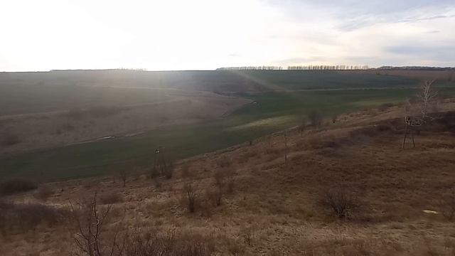 Готня Псёл смотреть онлайн