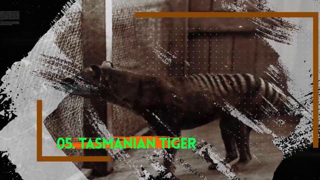 10 Extinct Animals Scientists Are Bringing Back Soon смотреть онлайн