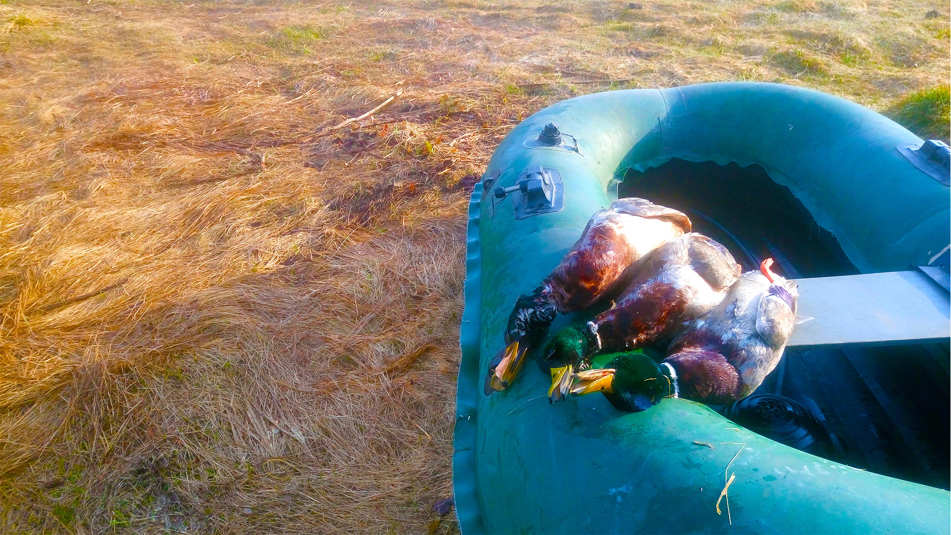 ВОТ ЭТО ОХОТА НА СЕЛЕЗНЯ. ПОДМАНИЛ ТРОИХ смотреть онлайн