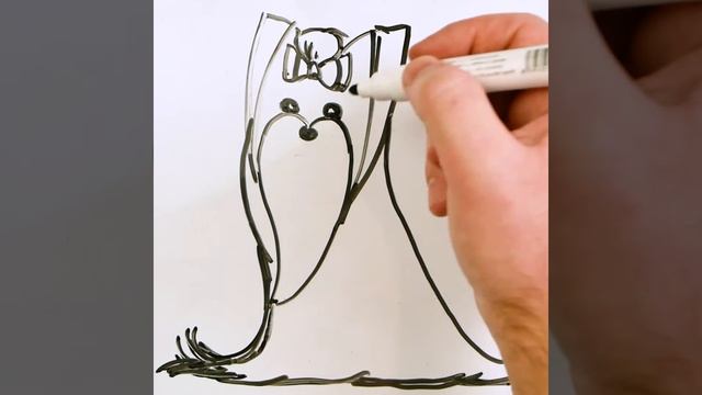 How to Draw a Yorkshire Terrier Dog Easy ? Drawing on a Whiteboard смотреть онлайн