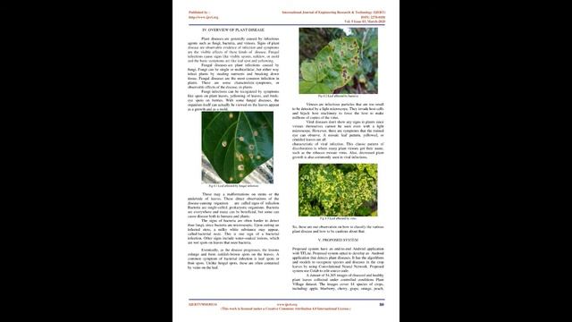 Plant Disease Detection using Image Processing смотреть онлайн
