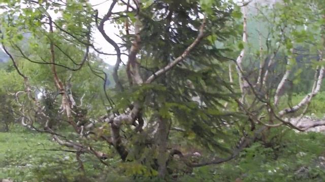 река Белая приют Фишт смотреть онлайн