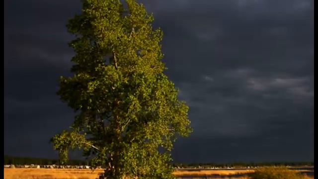 На горе на горушке смотреть онлайн