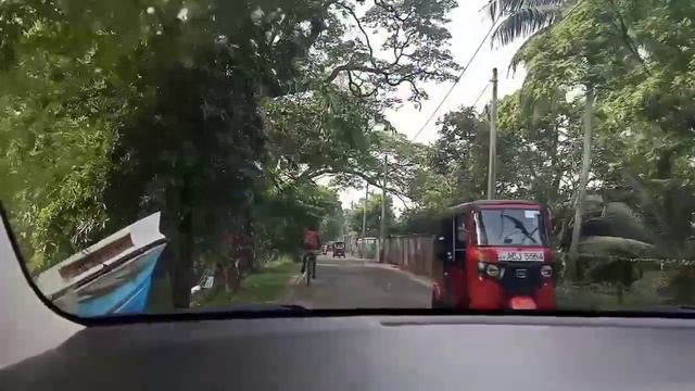 SRI LANKA COLOMBO, NEGOMBO AND PINNAWALA TOUR смотреть онлайн