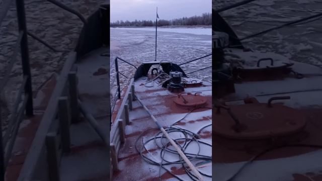 1 ноября 2023 г. смотреть онлайн