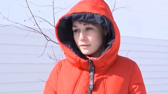 Щенки ждут помощи и ищут хозяев. смотреть онлайн