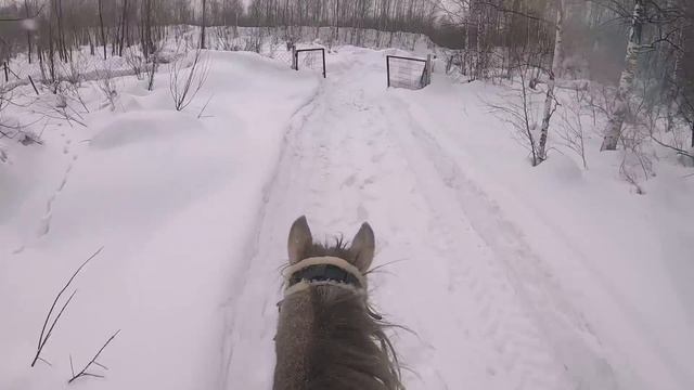 Как Проходит ДЕНЬ КОННИКА? / VLOG конюшня смотреть онлайн