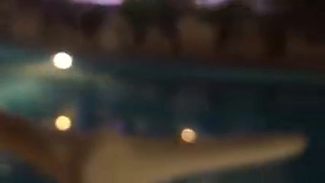 Фламенко 2 для 2МИК Independent Star смотреть онлайн