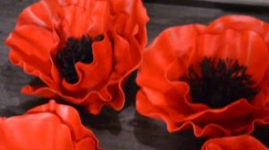 МАКИ. МАКИ С ИЗОЛОНА. MAQUIS