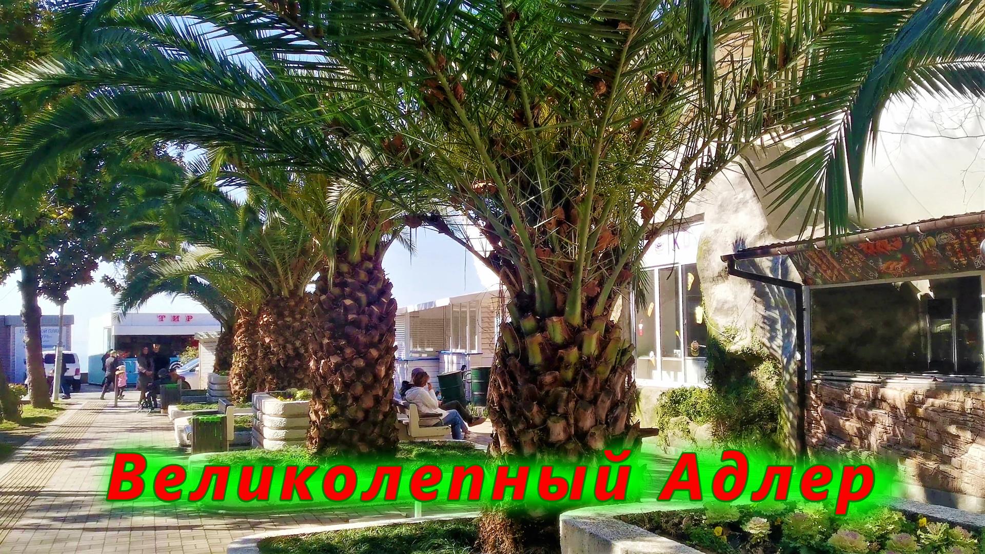 Великолепный Адлер смотреть онлайн