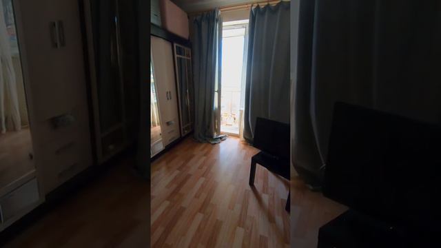 Амстафф 1 год | Всегда Готов | Стаффорд | Amstaff one year | Staffy смотреть онлайн