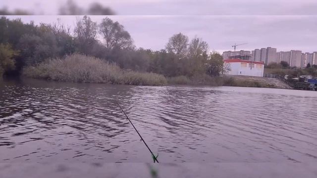 Отводной поводок - Монтаж и тест смотреть онлайн