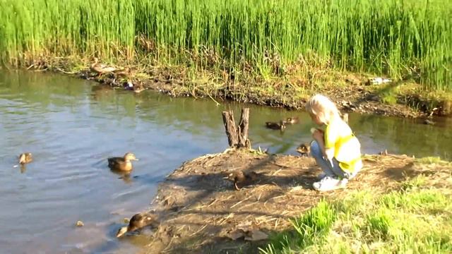 Бэла подкармливает уточек смотреть онлайн