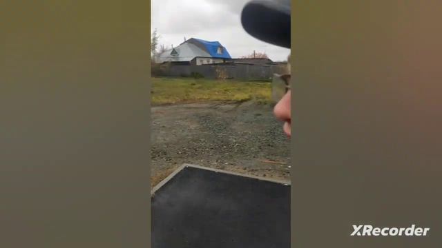 берём интервью у дерева смотреть онлайн