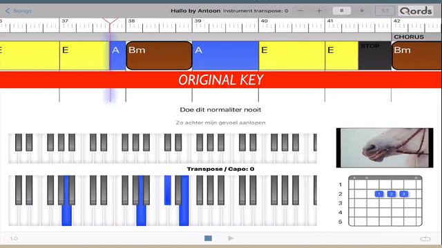 Hallo - Antoon, most accurate tutorial video how to play piano & guitar; original key смотреть онлайн