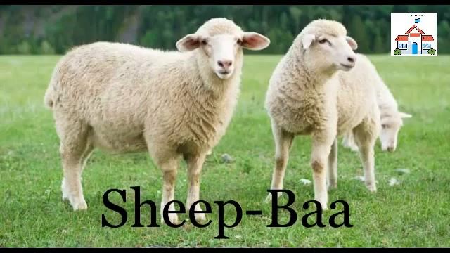 Animals Sounds Names| Animal Names and Sounds for kids | Animal Sounds | Learn Animals Names Sound смотреть онлайн