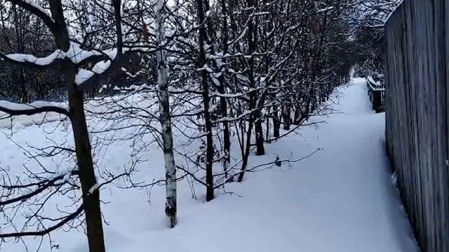 5 января- ФЕДУЛОВ ДЕНЬ.Как не укоротить жизнь.Чтобы привлечь добро и исполнились желания.Приметы смотреть онлайн