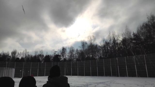 Фестиваль по кордовым пилотажным моделям | Кордодром ул. Красного маяка | 18.02.2023