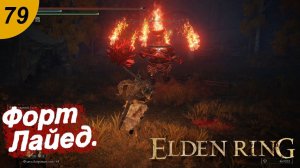 Грибной сет и форт Лайед.#79 ELDEN RING. Прохождение.