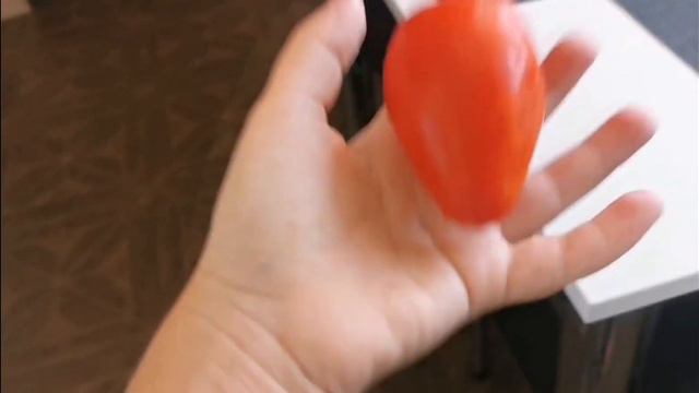 каждый пёсик такой! смотреть онлайн