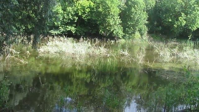 Прогулки по Старой Калитве смотреть онлайн