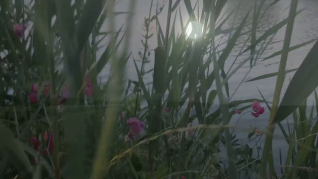 Psy-Ritual Music Project: Full Blue Moon (432 hz) смотреть онлайн