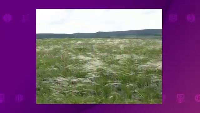 География. 8 класс. Природные зоны и высотные пояса /20.12.2020/ смотреть онлайн
