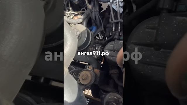 Замена приводного ремня 89055014091