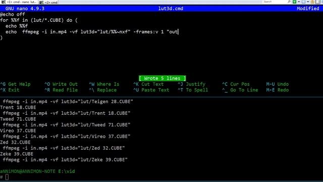 #18. Script for LUT selection | FFmpeg смотреть онлайн