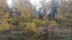 Поезд. Вид из окна  Train.  View  from the train window