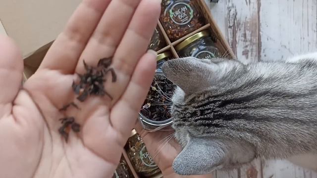 Распаковка и обзор покупок с Вайлдберриз💜 смотреть онлайн