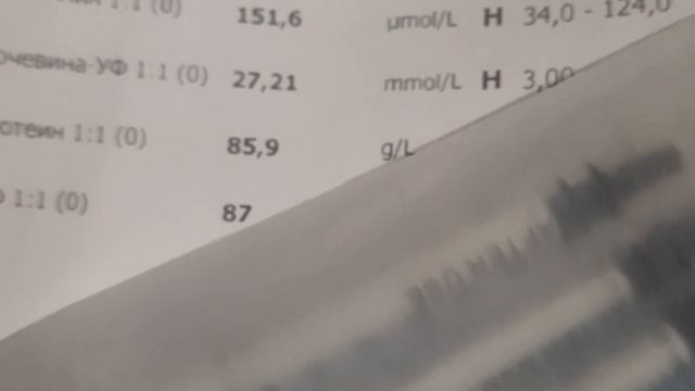 Котик заболел и хотел уйти из дома. Я его не выпустила , повезла к ветеринару. смотреть онлайн