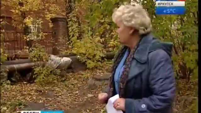 Бродячие псы напали на детей на территории школы. Иркутск смотреть онлайн