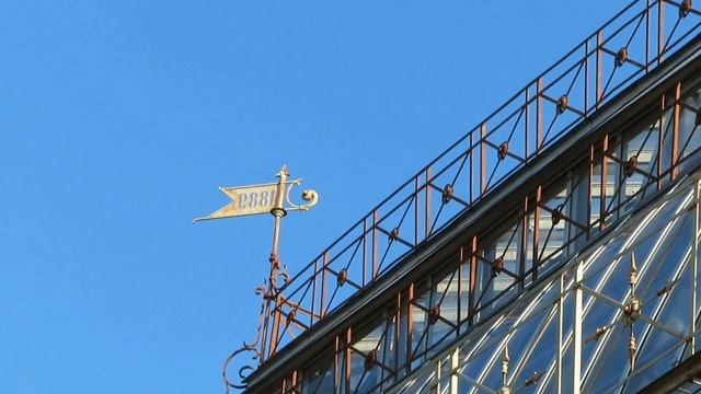 БОТАНИЧЕСКИЙ САД ПЕТРА ВЕЛИКОГО. САНКТ-ПЕТЕРБУРГ. смотреть онлайн