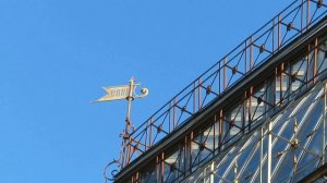 БОТАНИЧЕСКИЙ САД ПЕТРА ВЕЛИКОГО. САНКТ-ПЕТЕРБУРГ.