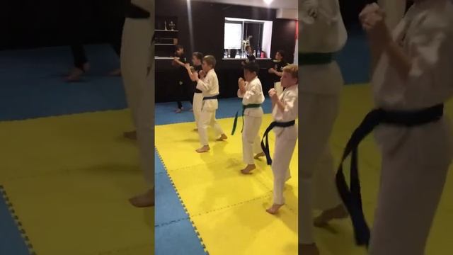 Единоборства, MMA, Будо