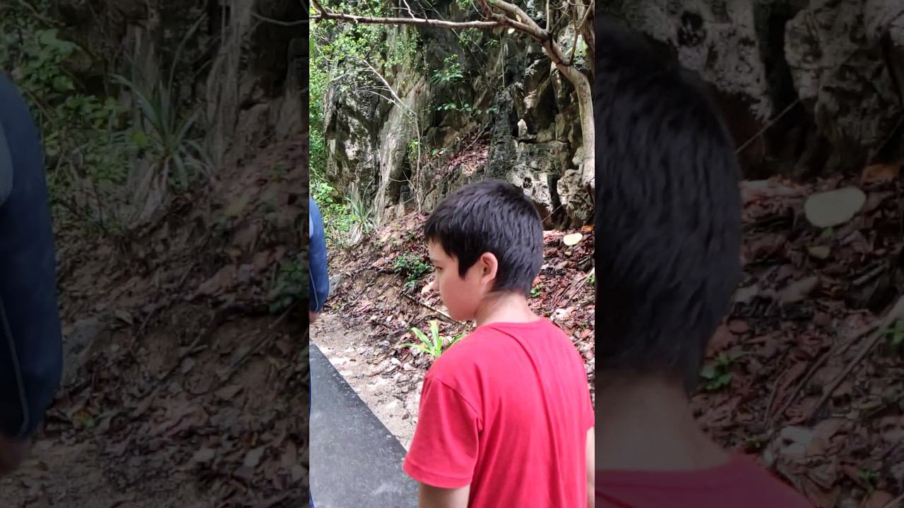 Красивые Джунгли на острове Пхи-Пхи пляж Майя Бэй. Таиланд 2024 за 50 тысяч рублей. @tutsi-dieti смотреть онлайн