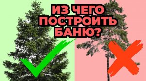 ТОП 3 отличия бани из ели и сосны. НЕ ПОТЕРЯЙ ДЕНЬГИ!