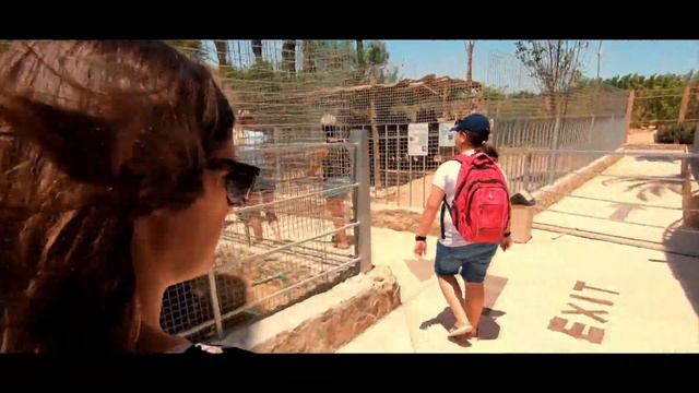Coral Beach resort Hurghada - Egypt 2019 смотреть онлайн
