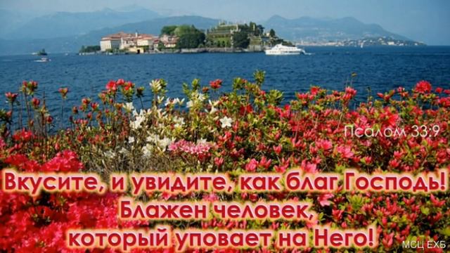 "Вкусите, как благ Господь". П. А. Бочкарёв. МСЦ ЕХБ. смотреть онлайн