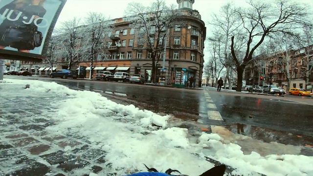 Снежная Одесса глазами скотчтерьера смотреть онлайн