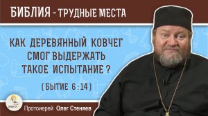 Как деревянный ковчег смог выдержать такое испытание ? (Бытие 6-14). Протоиерей Олег Стеняев