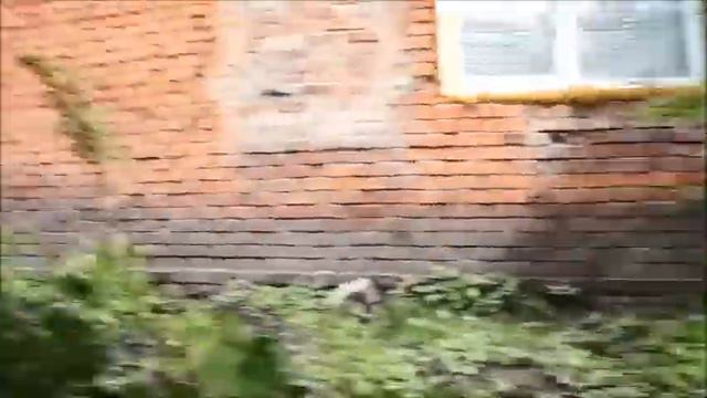 Девочки хаски=2 смотреть онлайн