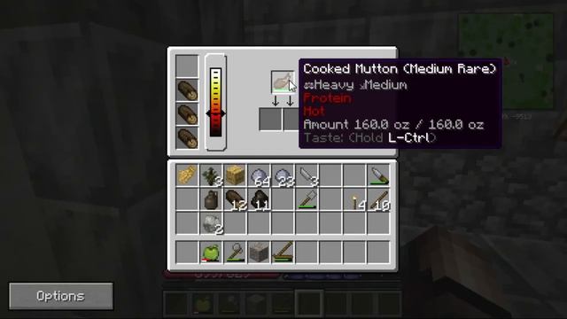 TerraFirmaCraft Tutorial: Charcoal and Firepit смотреть онлайн