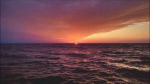 В Черном море нельзя будет купаться. Что происходит с Черным морем. Мнение ученых.