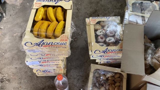 Чем я кормлю опарышей чёрной львинки смотреть онлайн